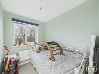 Picture 7